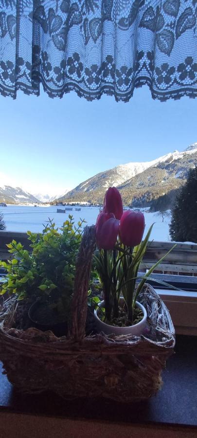 Ferienhaus Lechtaler Alpen バッハ エクステリア 写真